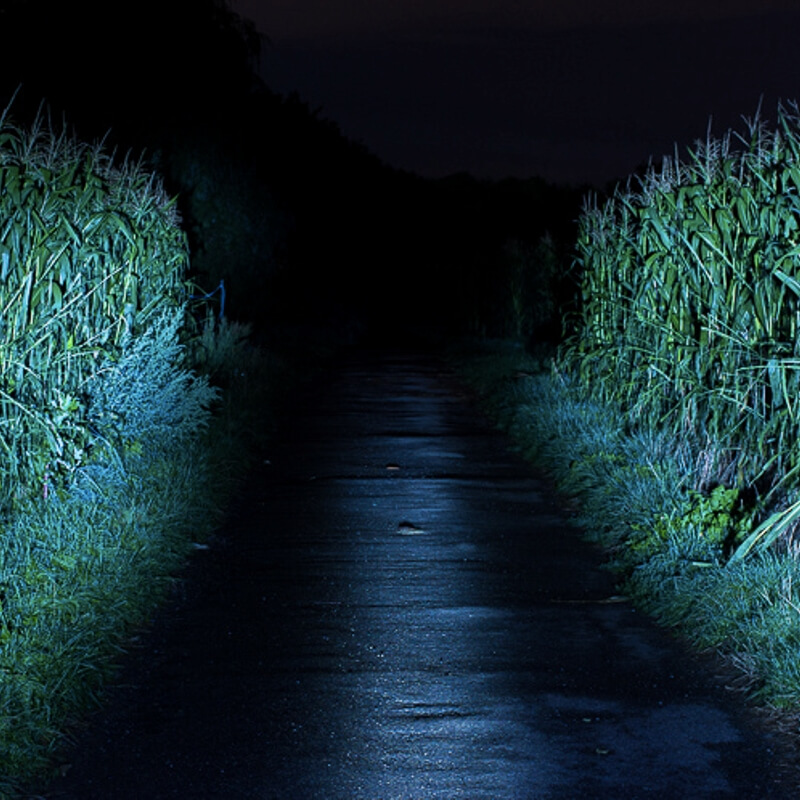 bestmaze trail of terror (1)